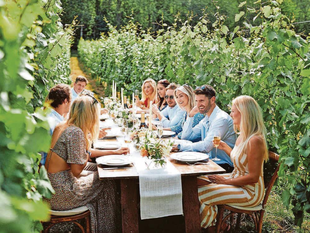 Why English wine scene is cause for celebration