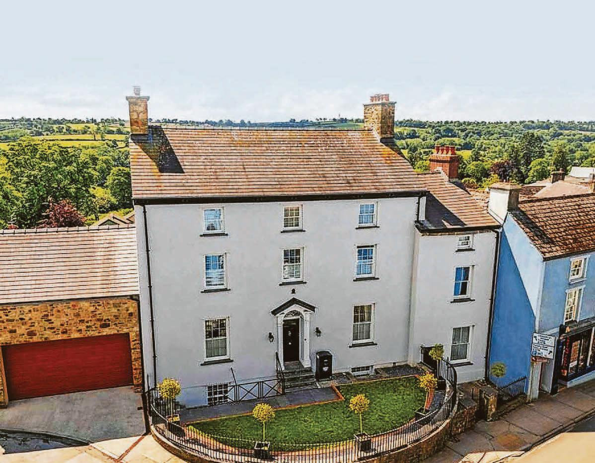 GEORGIAN GEM
