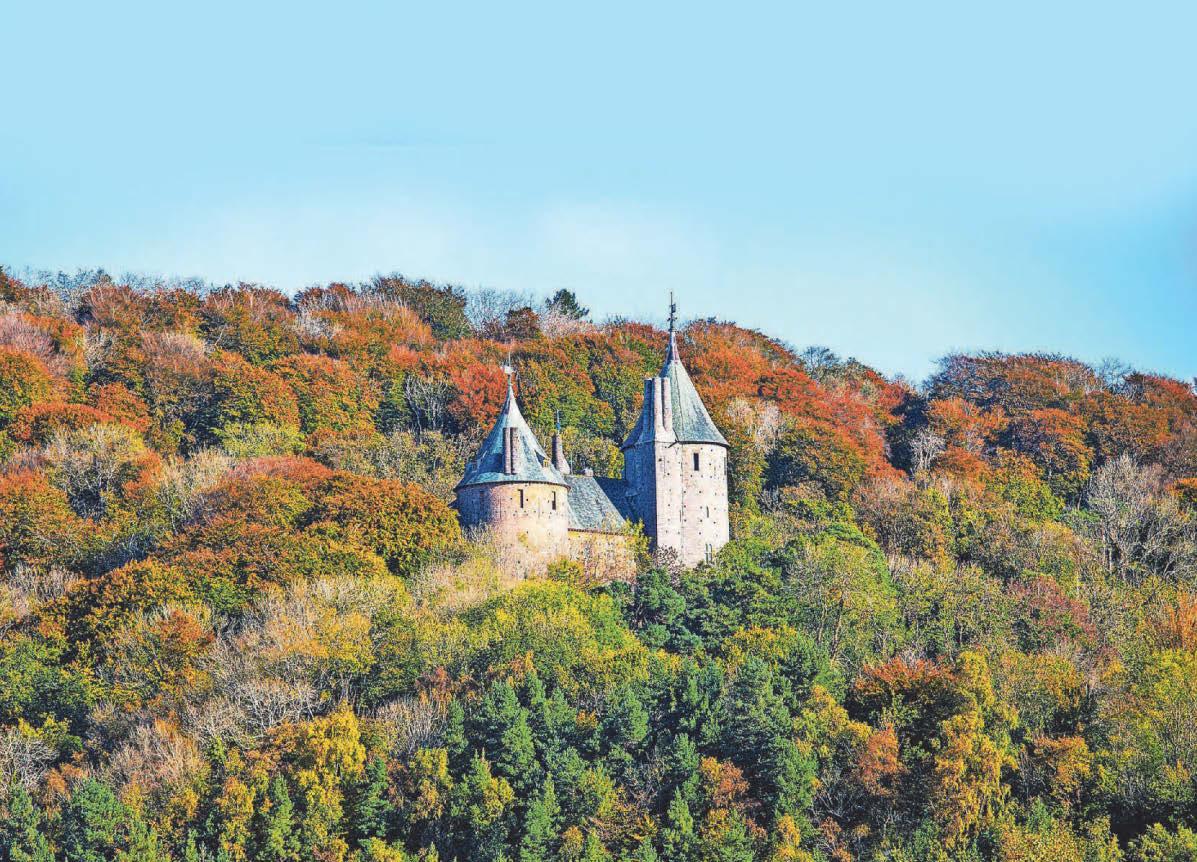 Concerns over firm hired to work on beloved castle