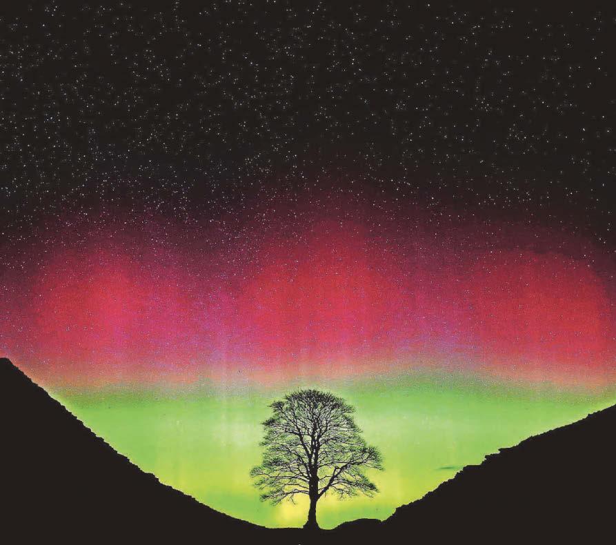 Sycamore Gap vandals are jailed