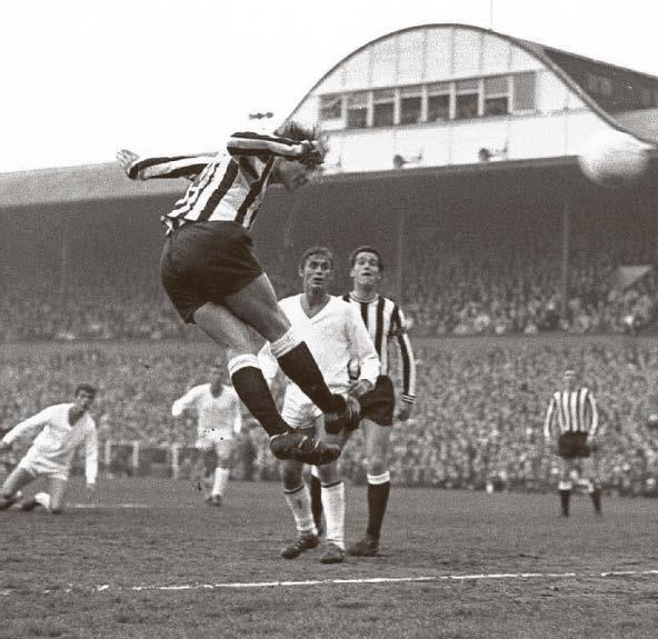 Fans mourn passing of legendary 'Wyn the Leap'