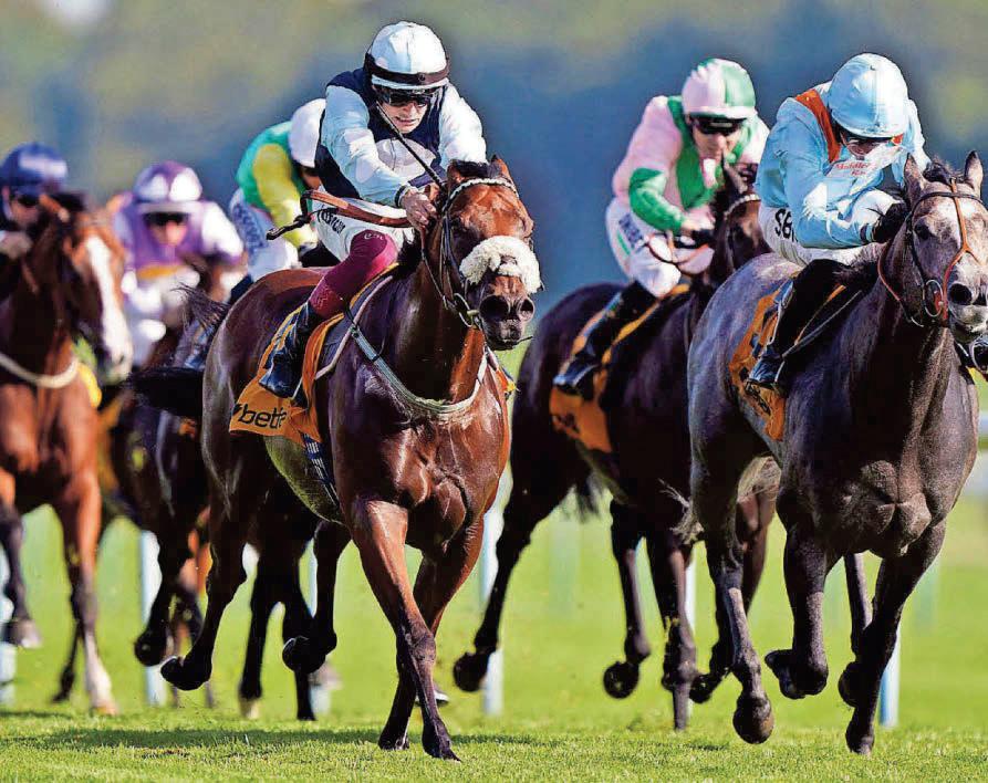 Cotai Belle can grab victory in Super Sprint at Newbury
