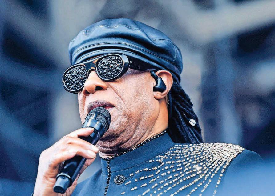 Park gigs went ahead without planning permission - report