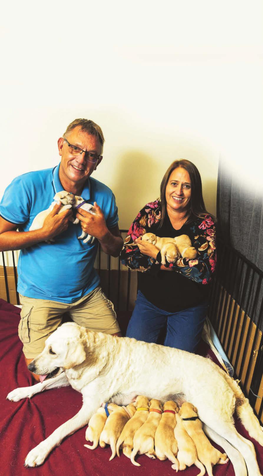 Pup star Tilly's big surprise for dog-sitters