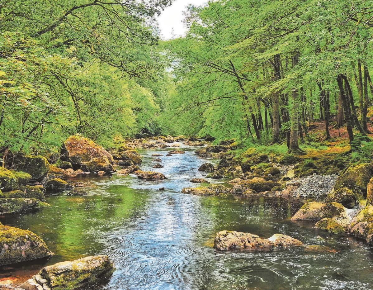 'Outrageous' – sewage pouring into rivers and lakes in national parks