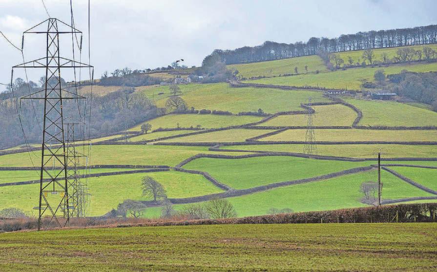 Campaigners oppose plans for energy parks and pylons