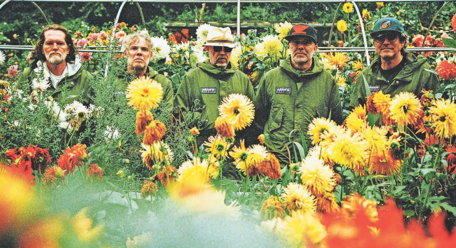 Super Furry Animals re-form for first live shows in a decade