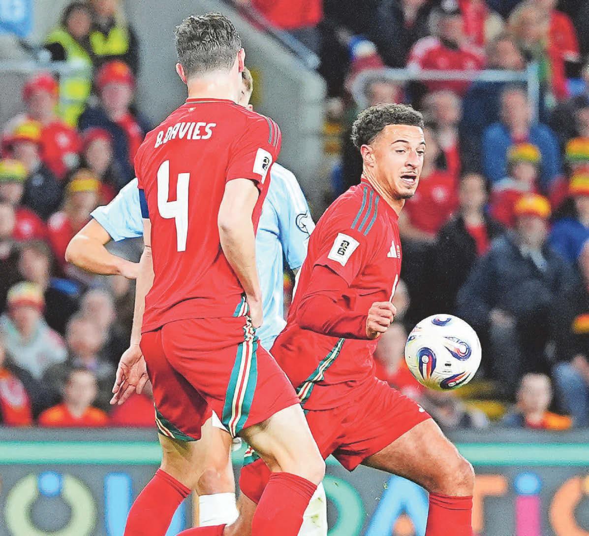 Handball rules have to be the same everywhere – Bellamy