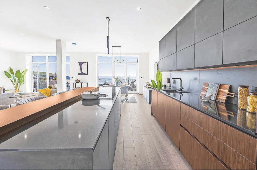 'I have risked absolutely everything to save a landmark that I love'