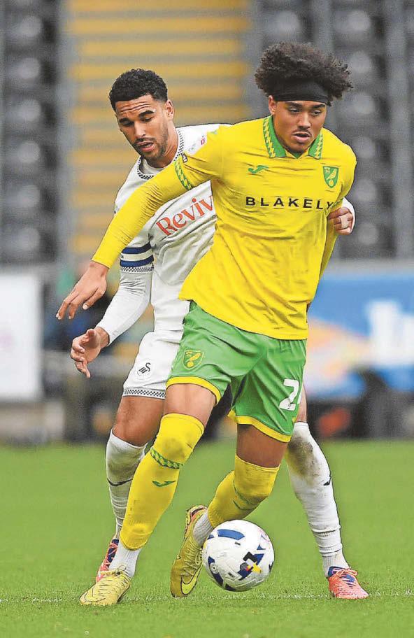 SHEEHAN: ZAN IS STARTING TO FLOURISH