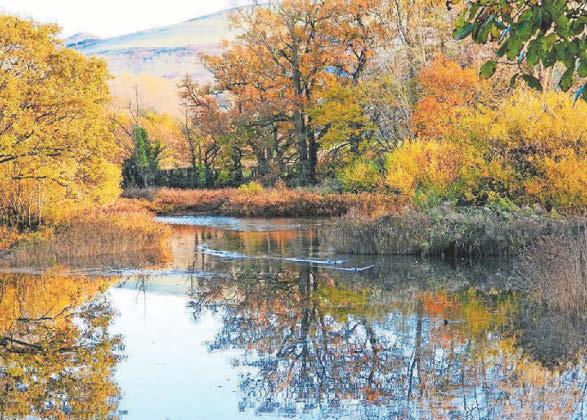 Ancient Welsh name to be reinstated at lagoons