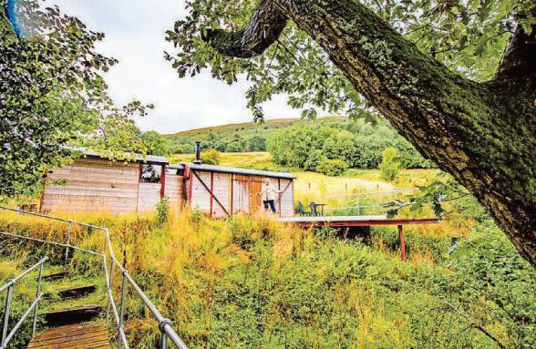 Just birdsong for company