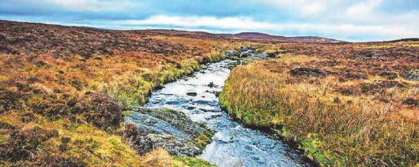 Land restoration plan to boost nature-based flood solutions