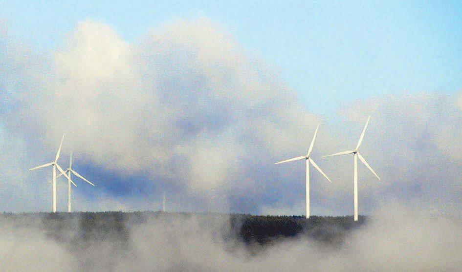 Energy plan backed as call for 'pause' rejected