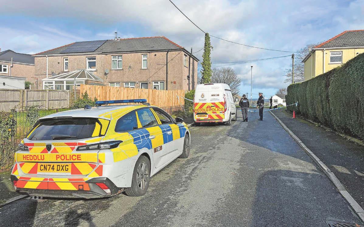 Teenager arrested as girl dies and mum left injured