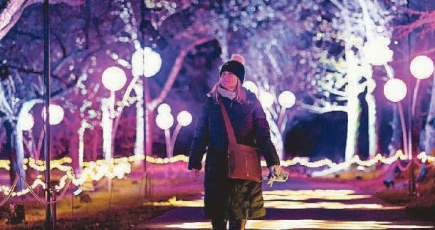 Magical light trail sees park glowing with winter wonder