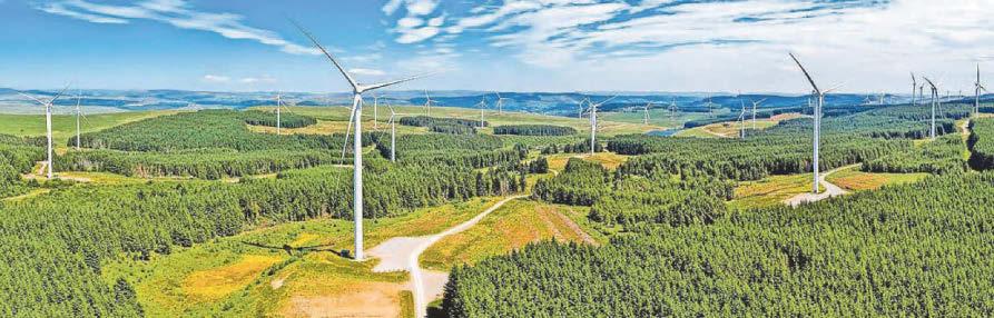 Plans for 250m-high wind turbines rejected