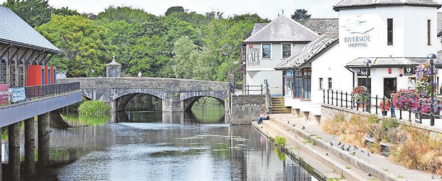 Call to save river after 'decades of neglect and degradation'