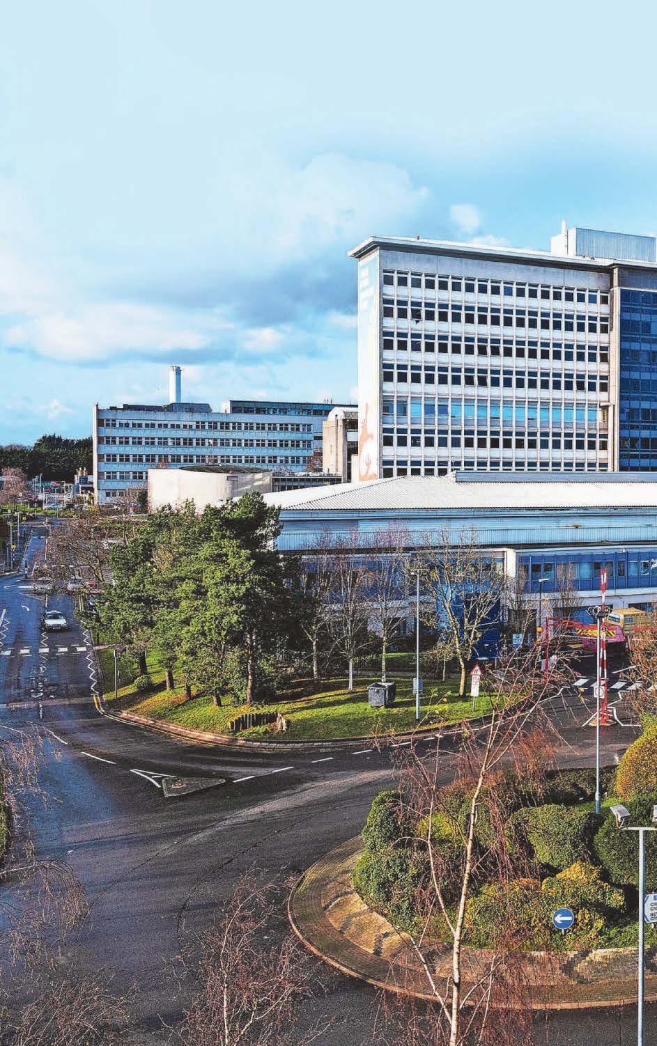 The hospital that is infested by pigeons and leaving some patients 'traumatised'