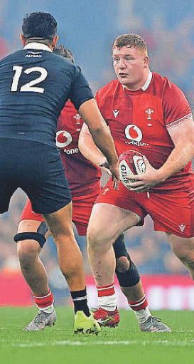 All Wales matches 'to be shown on free-to-air TV'