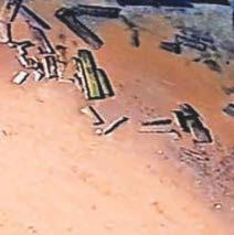 Ghostly ruin on beach is a warning from the past