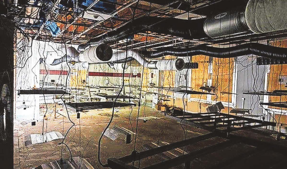 Police discover huge cannabis factory at former M&S store