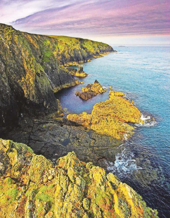 'Wins for nature' give hope for natural world