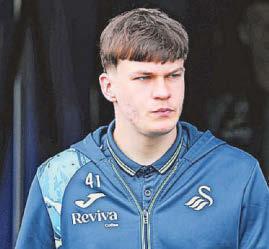Parker still has role to play with Swans, insists Matos