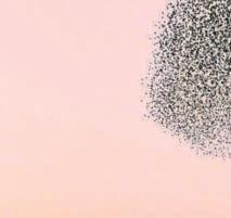 20,000 starlings and one epiphany