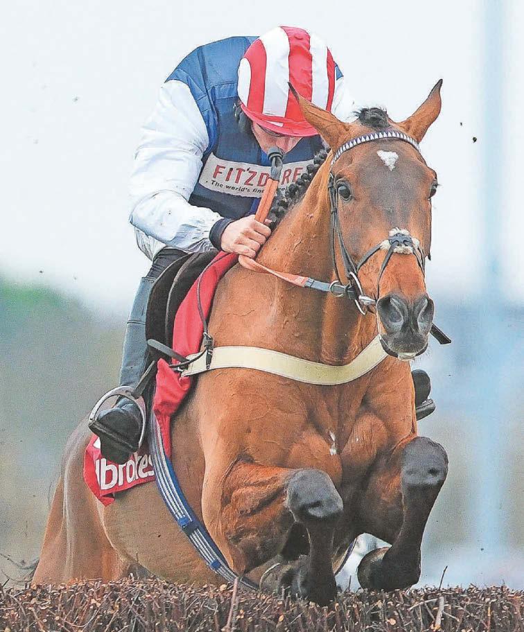 Welsh friends and rivals going head-to-head for the Gold Cup