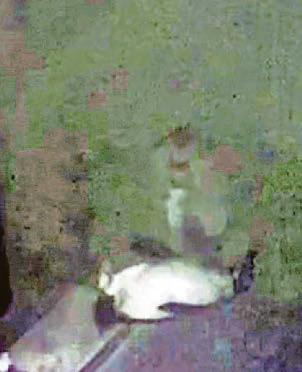 VANDAL CAUGHT ON CAMERA AS HE TURNS ON CHARITY STATUES