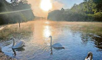 Water quality warning as temperatures set to soar