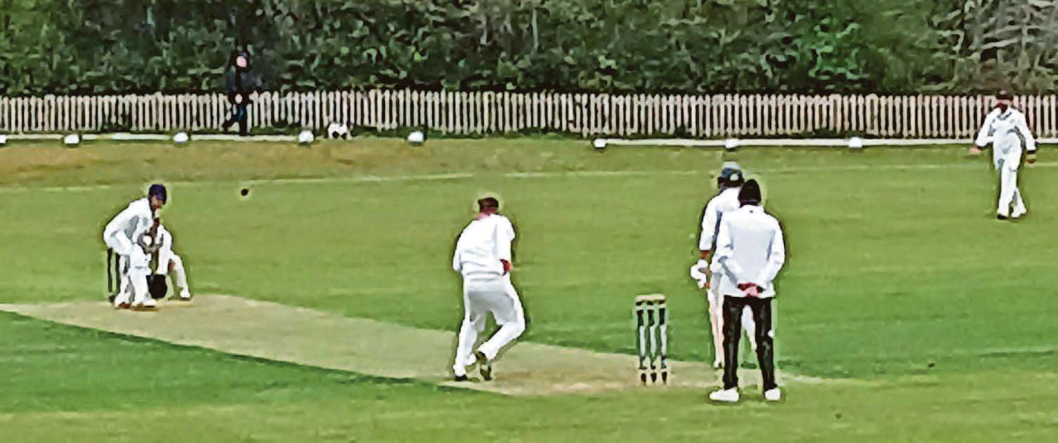 Wilkinson's spin puts paid to Marple hopes