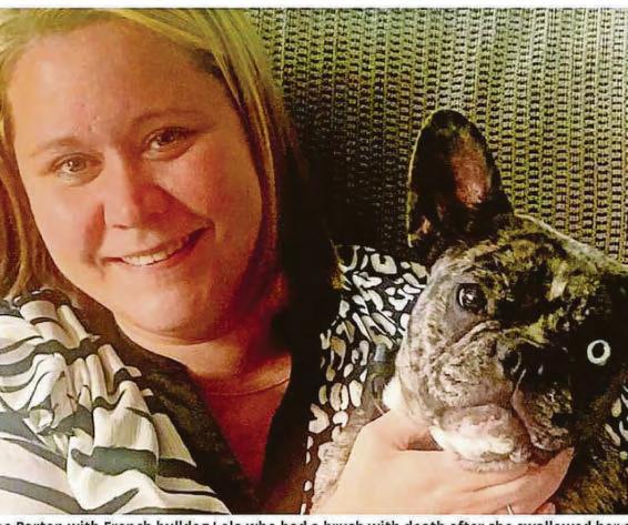 Dog's lucky escape after swallowing an 8in comb