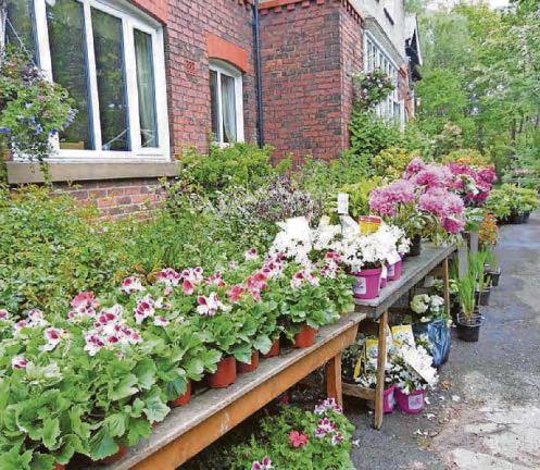 Floral offerings galore at Mellor House sale