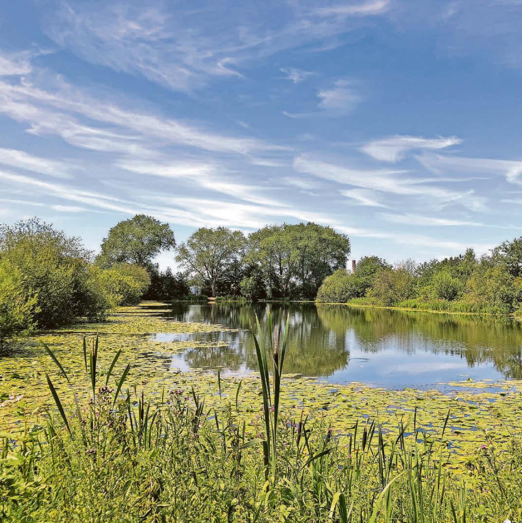 Plans revealed for housing estate around 'secret lake'