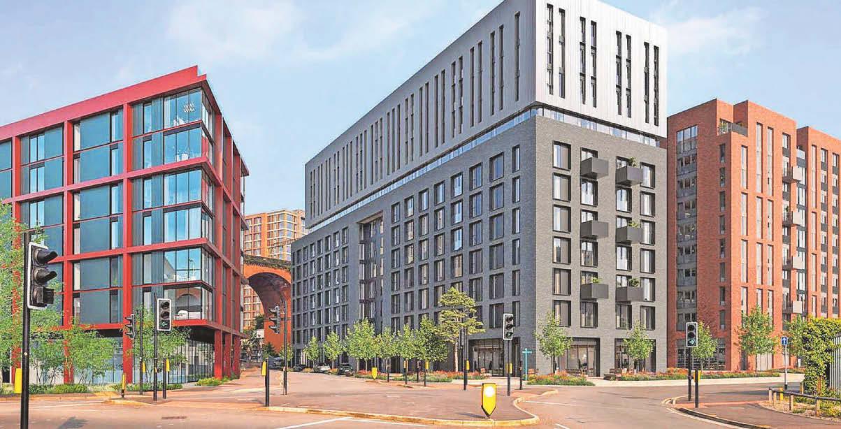 Bat roosts bring work on homes to a screeching halt