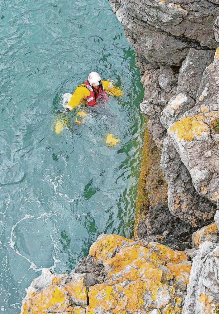 Nightmare as dog plunges off coast cliffs