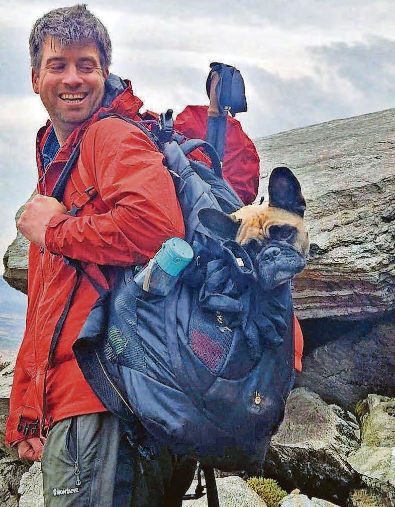 Astonishment as tiny dogs with little legs are saved from treacherous peak