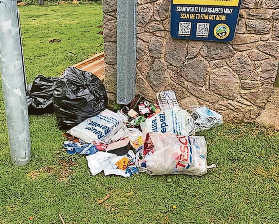 'Disgusting excuse for humans' as rubbish left at Eryri beauty spot