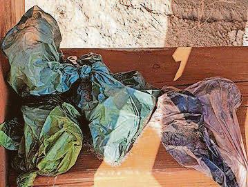 LOCALS FUME AS DOG POO BAGS DUMPED AROUND BEAUTY SPOT AND BEACH