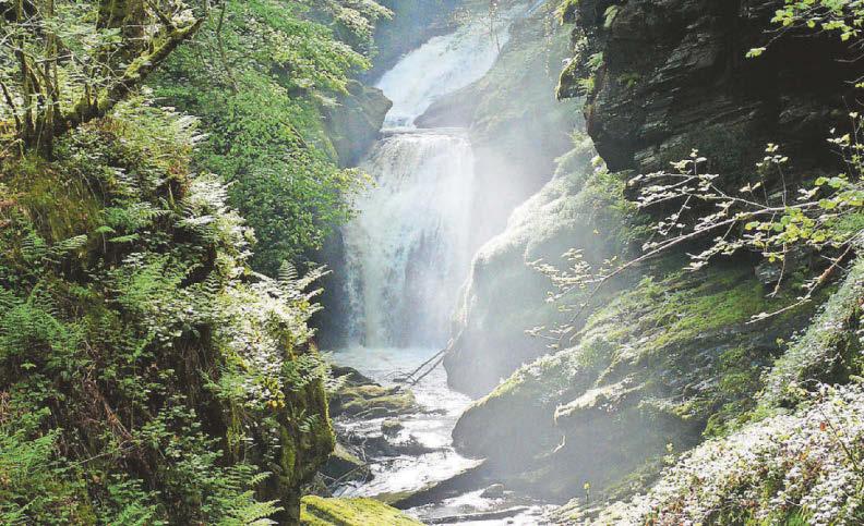 Welsh Govt won't 'call in' hydro scheme