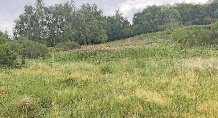 Inspector backs rejection of 68 'cramped' homes