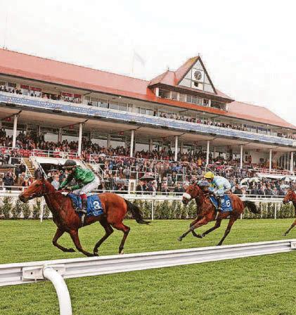 Two arrested after races ‘altercation’