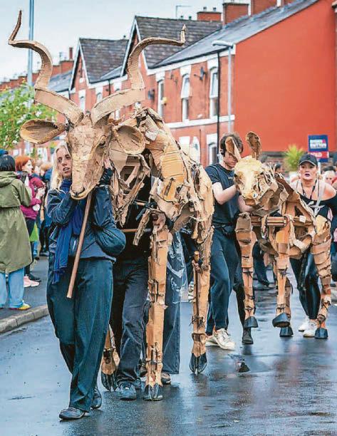 Herd hypnotises crowds as MIF comes to town