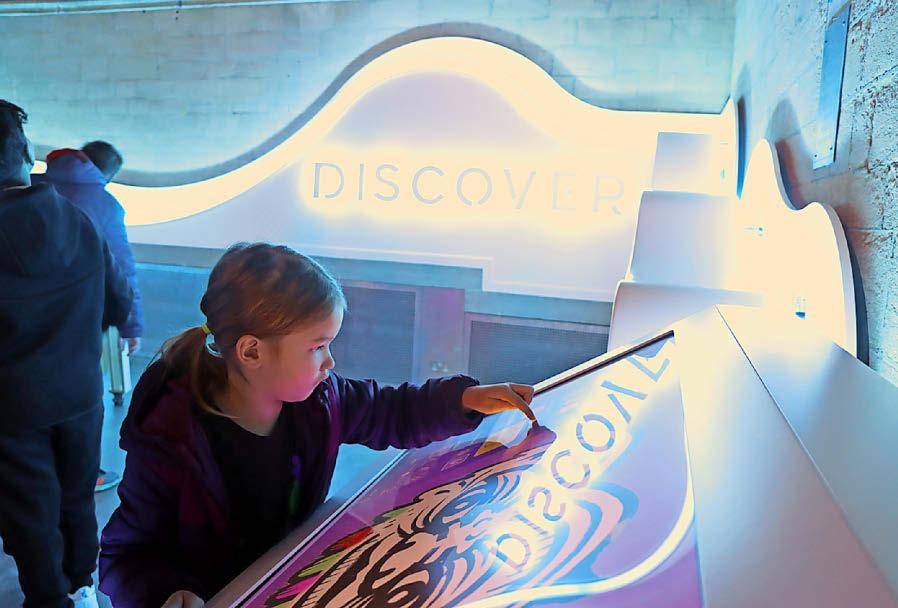 Interactivity and creativity are at the core of Discover@20-21