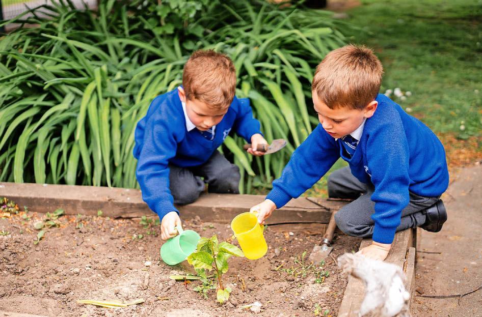 School hailed as 'among the very best nationally'