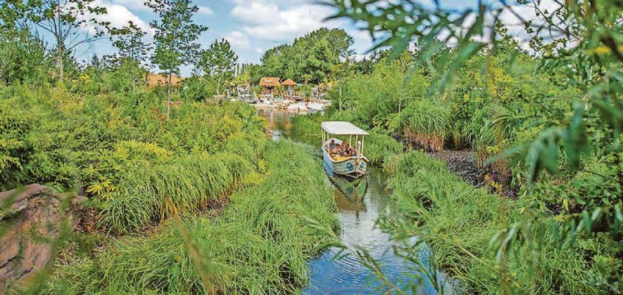 Zoo crowned UK's best by Tripadvisor