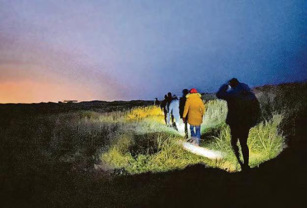 Keeping dogs out of all pools respects Natterjacks' habitat