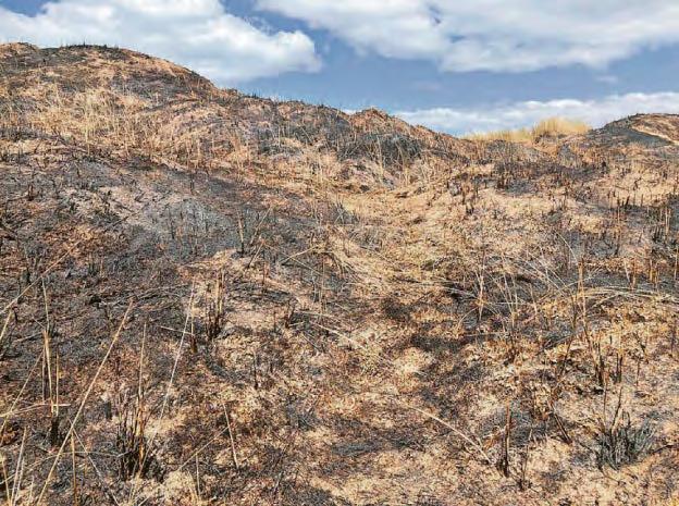 Fires can spread rapidly damaging the environment
